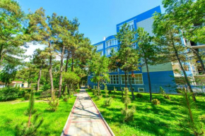 Apartment on Kirova 1